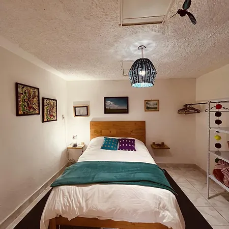 Gaia Guest House San Cristobal de las Casas Exterior photo