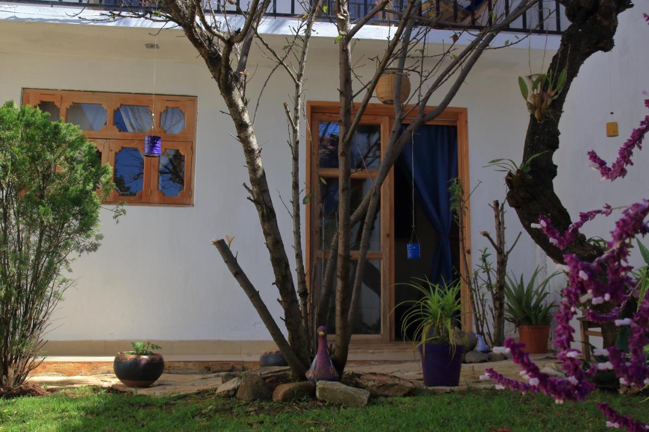 Casa de hóspedes Gaia